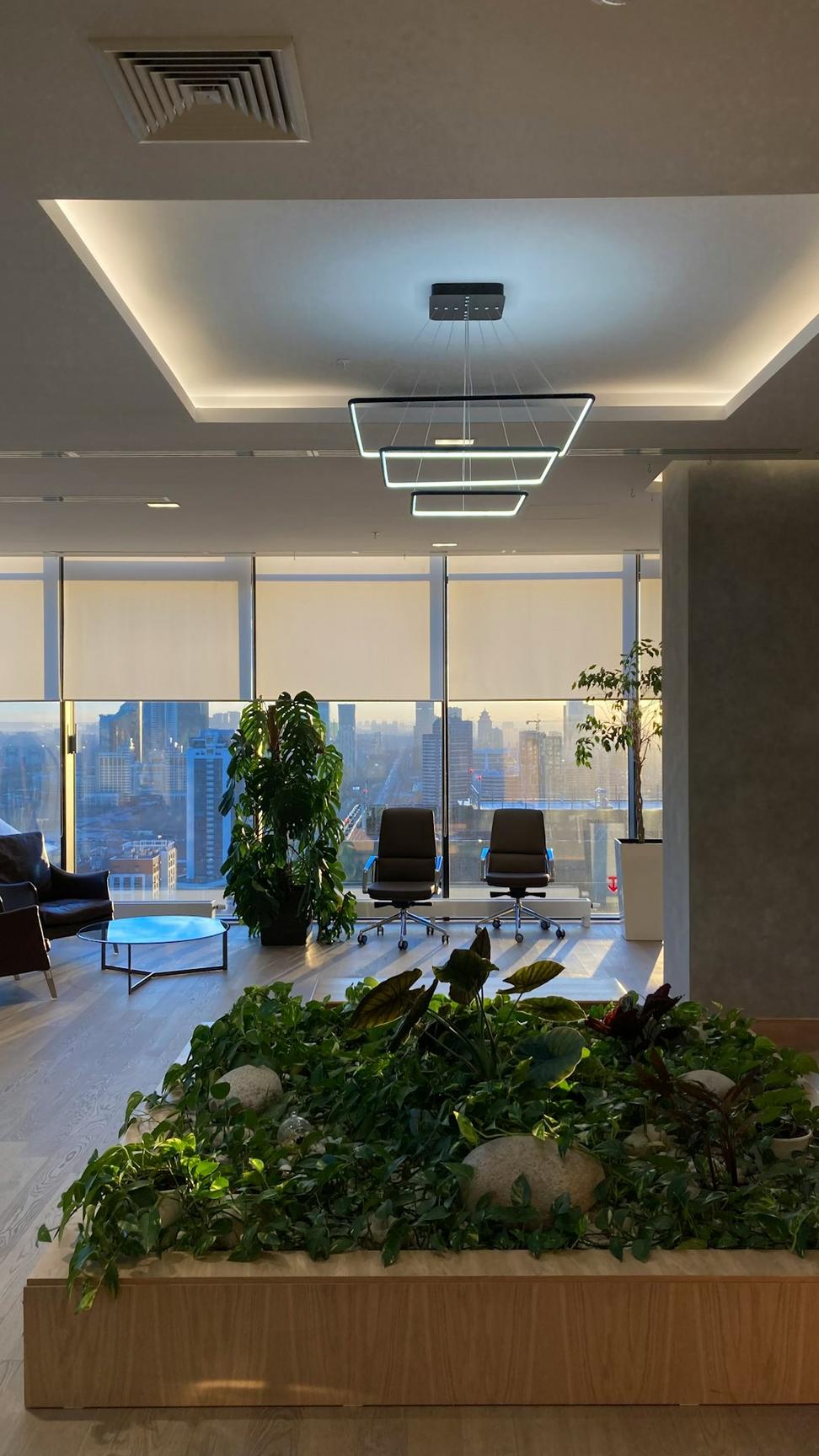 Commercial Project